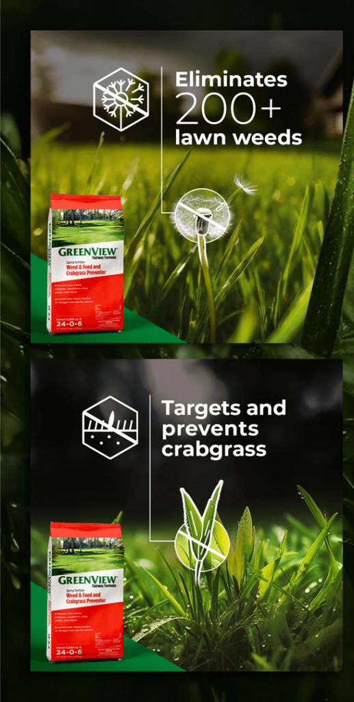 Greenview Campaign Mock Up 01