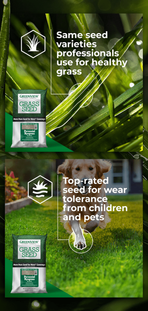 Greenview Campaign Mock Up 02