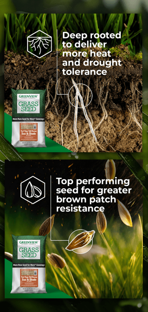 Greenview Campaign Mock Up 03