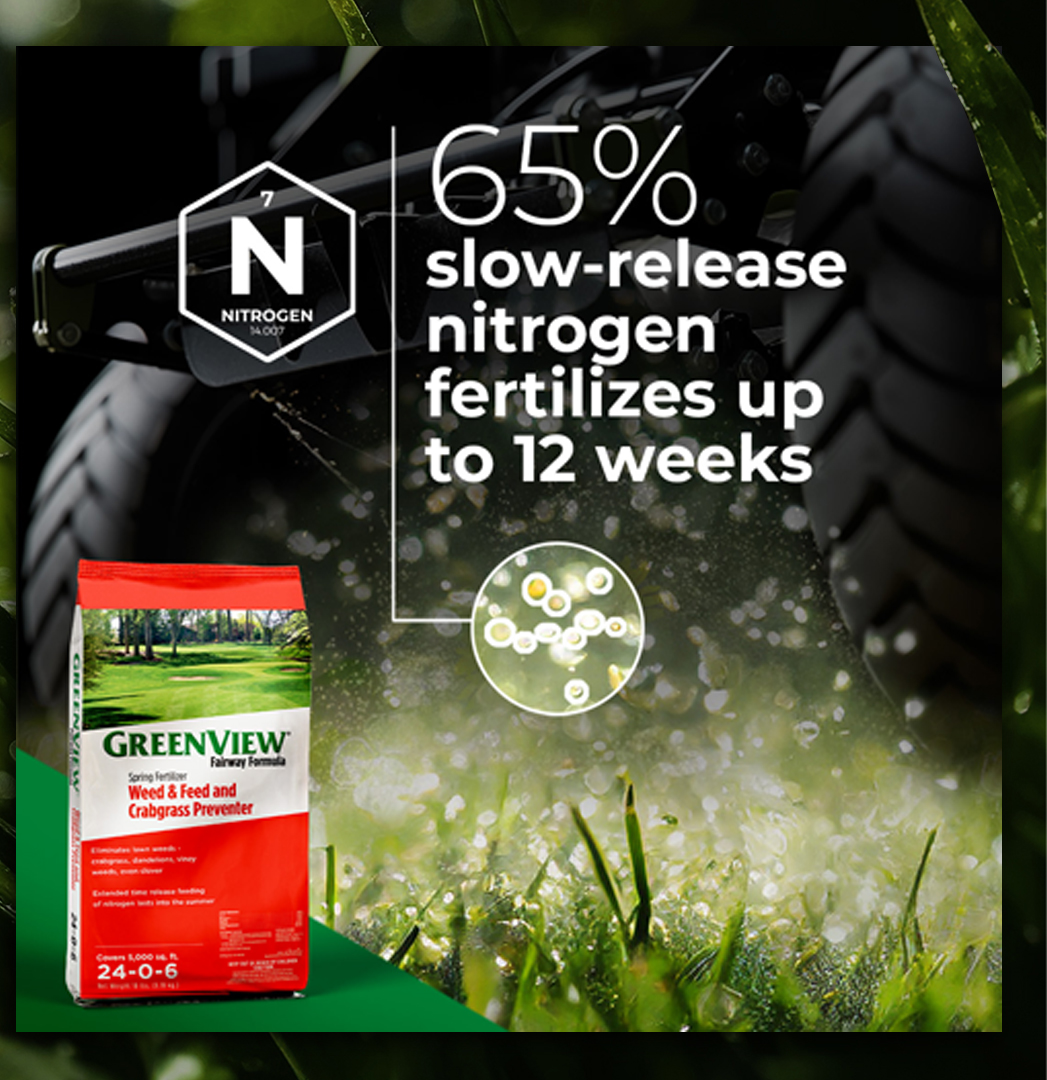 Greenview Campaign Mock Up 04