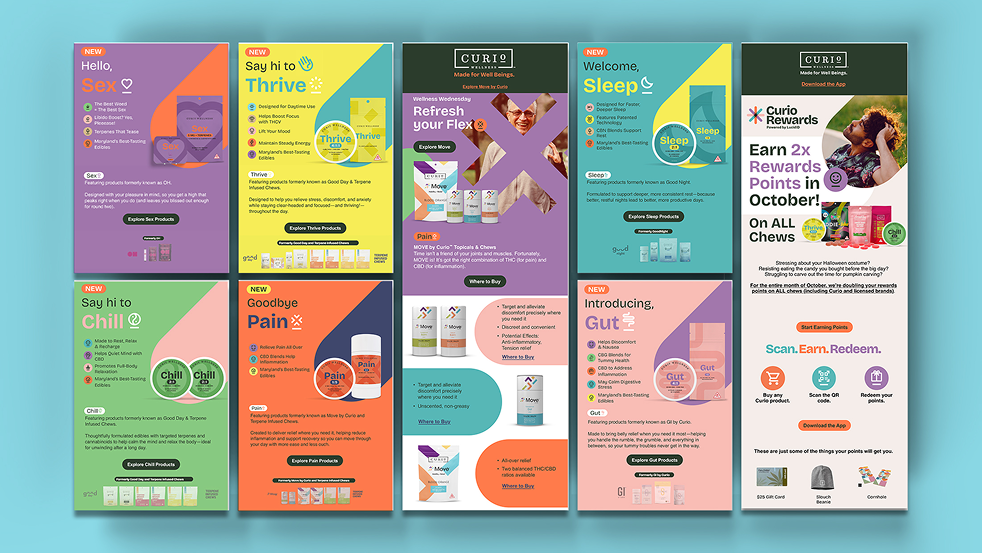 Curio Brand Refresh Email