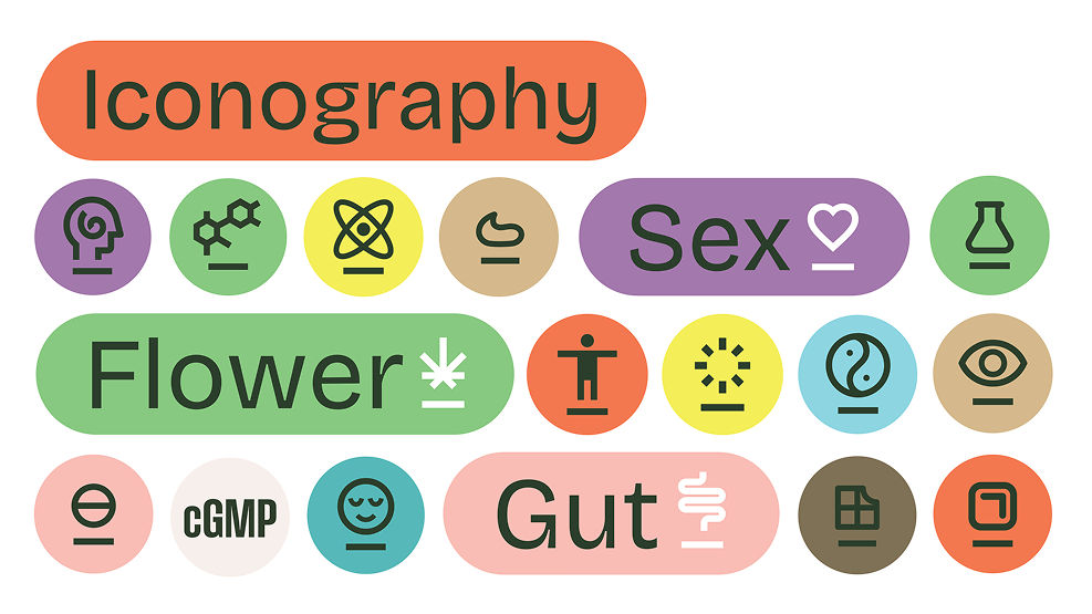 Curio Brand Refresh Icon System