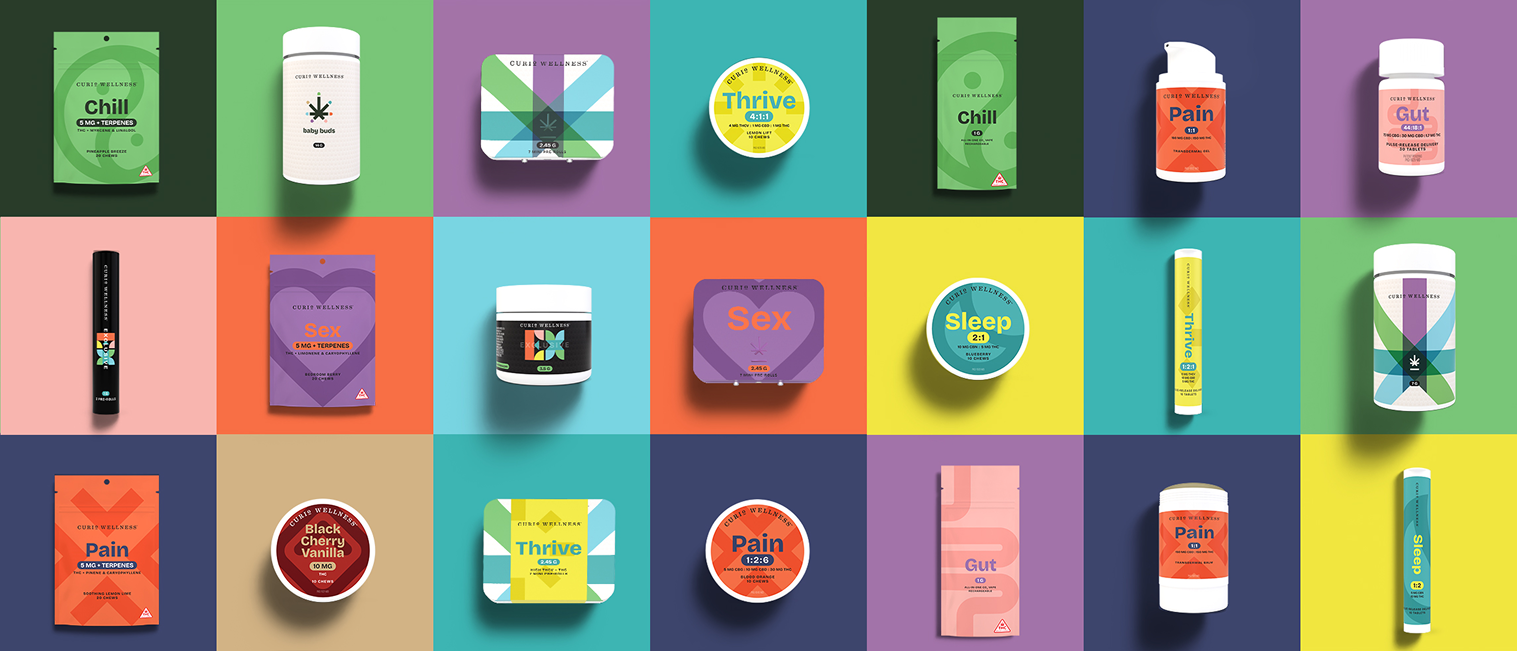 Curio Brand Refresh Spread 1
